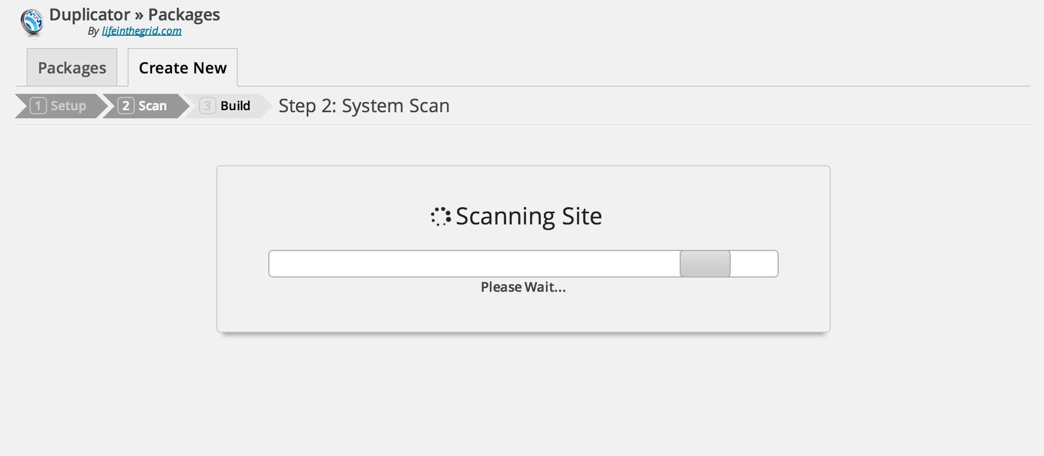 Wait for Duplicator to do a System Scan