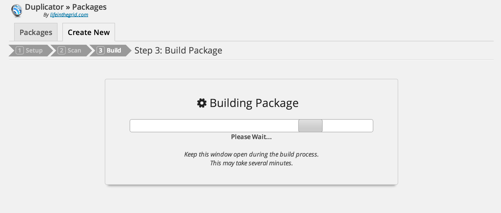 Wait for Duplicator to build the Package