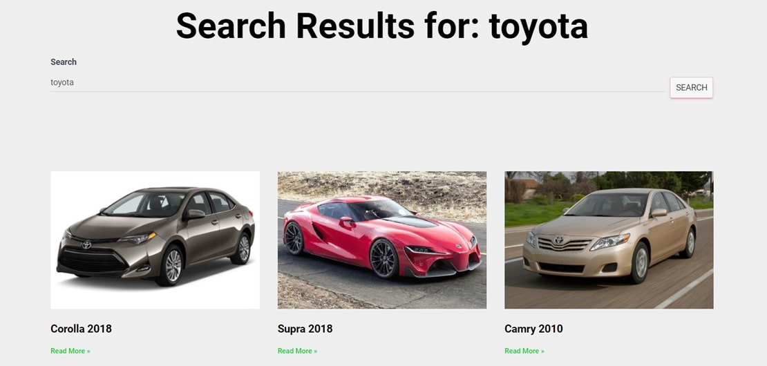 WordPress Custom fields search results for car brand