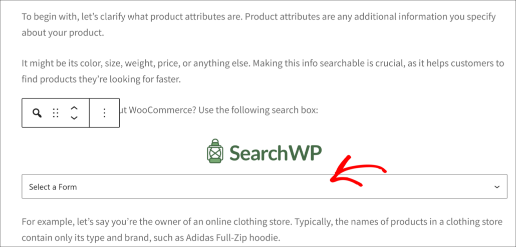 Choose the search form from the block