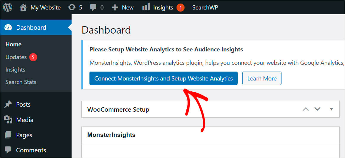 connect MonsterInsights with Google Analytics