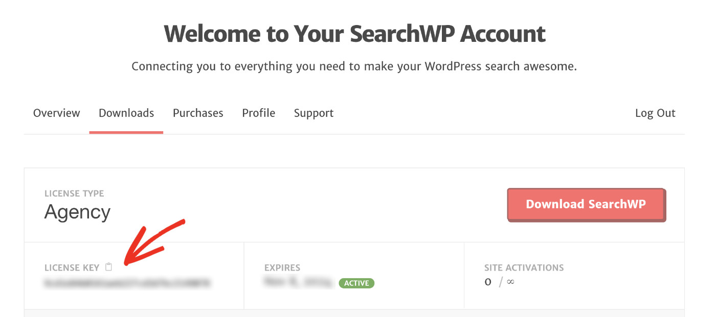 How To Create A Custom Search Form In WordPress: Copy SearchWP License Key