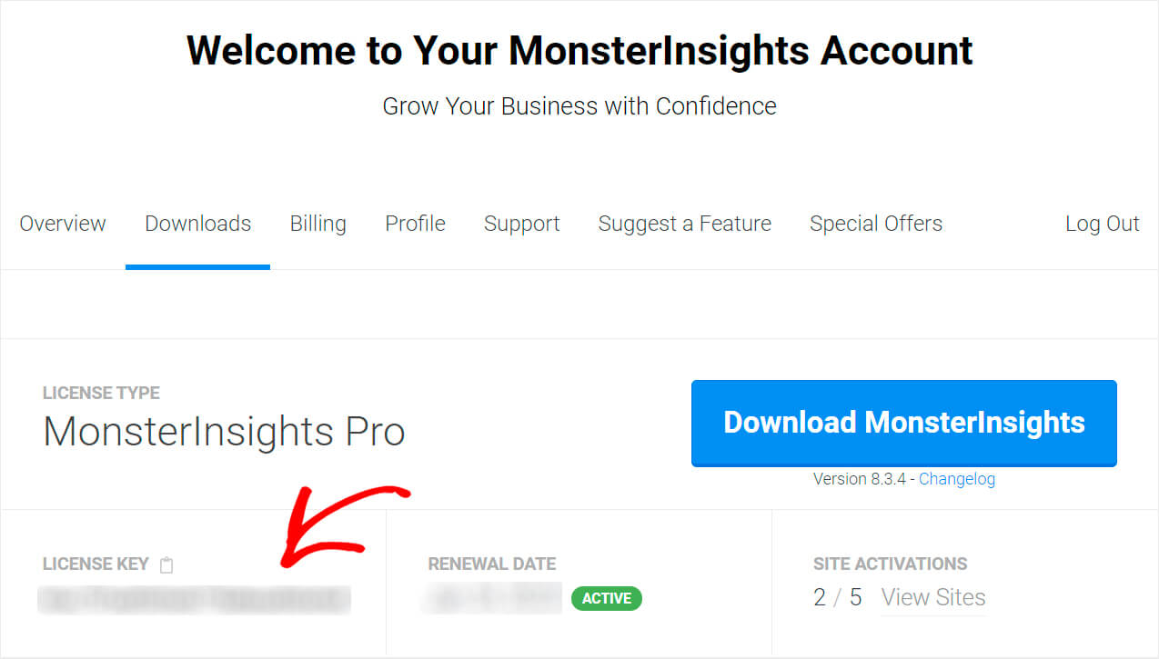 copy your MonsterInsights license key