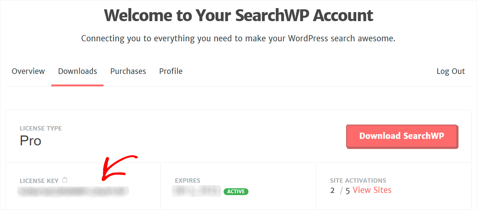 copy your SearchWP license key