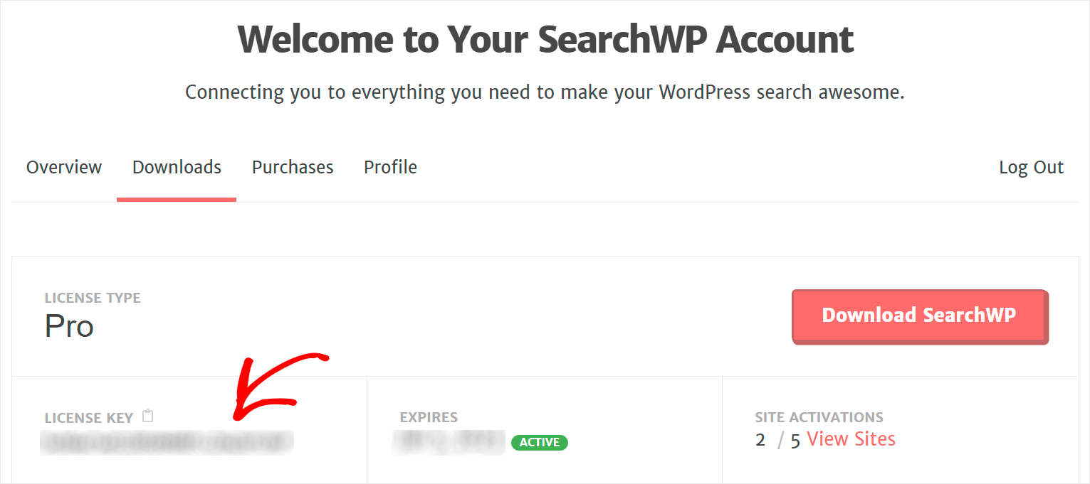 copy your SearchWP license key