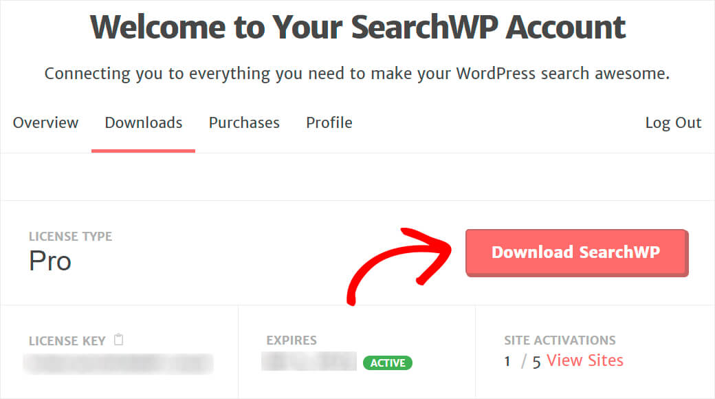 download the searchwp plugin