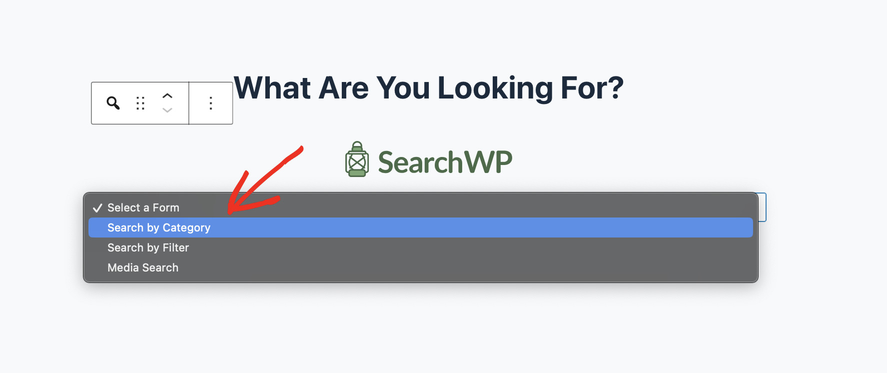 How To Add Search by Category To WordPress: Embed Search Form Step 3