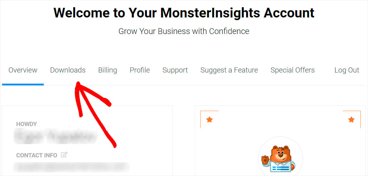 go to the monsterinsights downlaod tab
