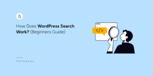 How does WordPress search work