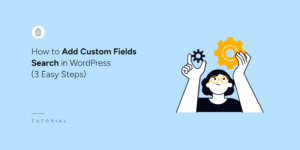 How to Add Custom Fields Search in WordPress