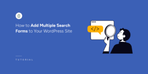 How to add multiple search forms to WordPress