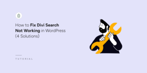 How to fix Divi search not working in WordPress