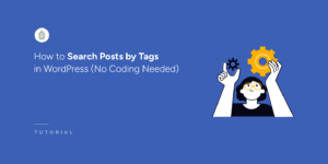 How to search posts by tags in WordPress