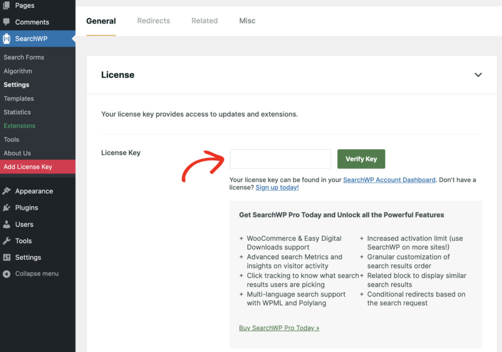 Pasting License Key in SearchWP