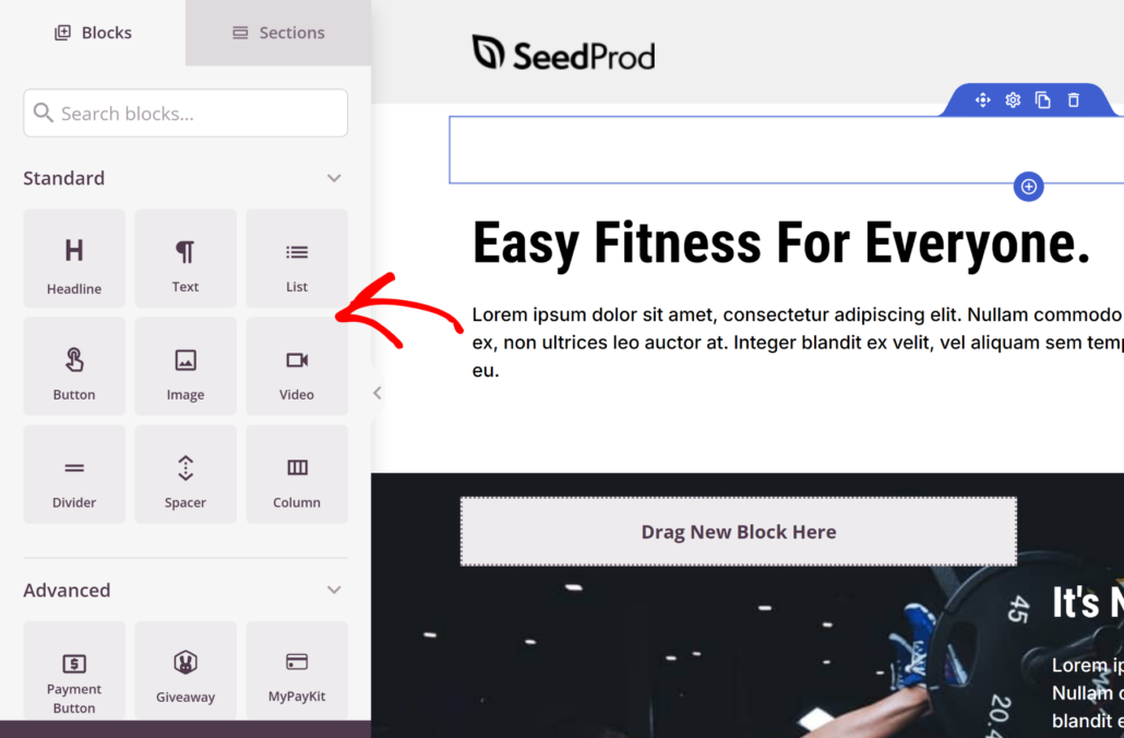 Picks blocks from SeedProd builder