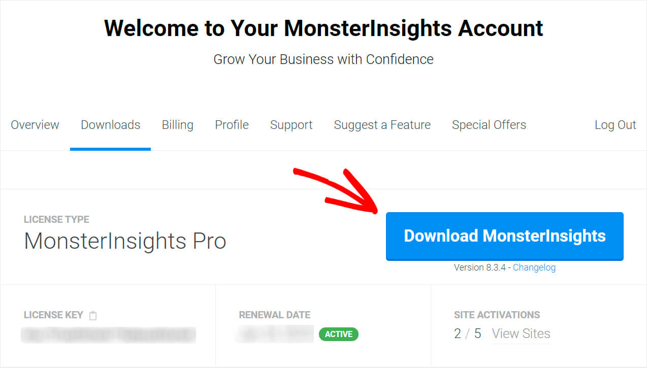 press the download MonsterInsights button