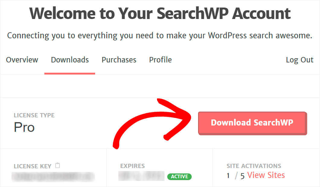 press the download searchwp button