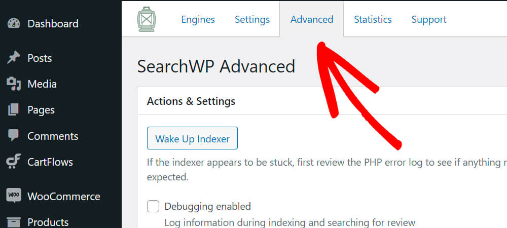 SearchWP advanced settings