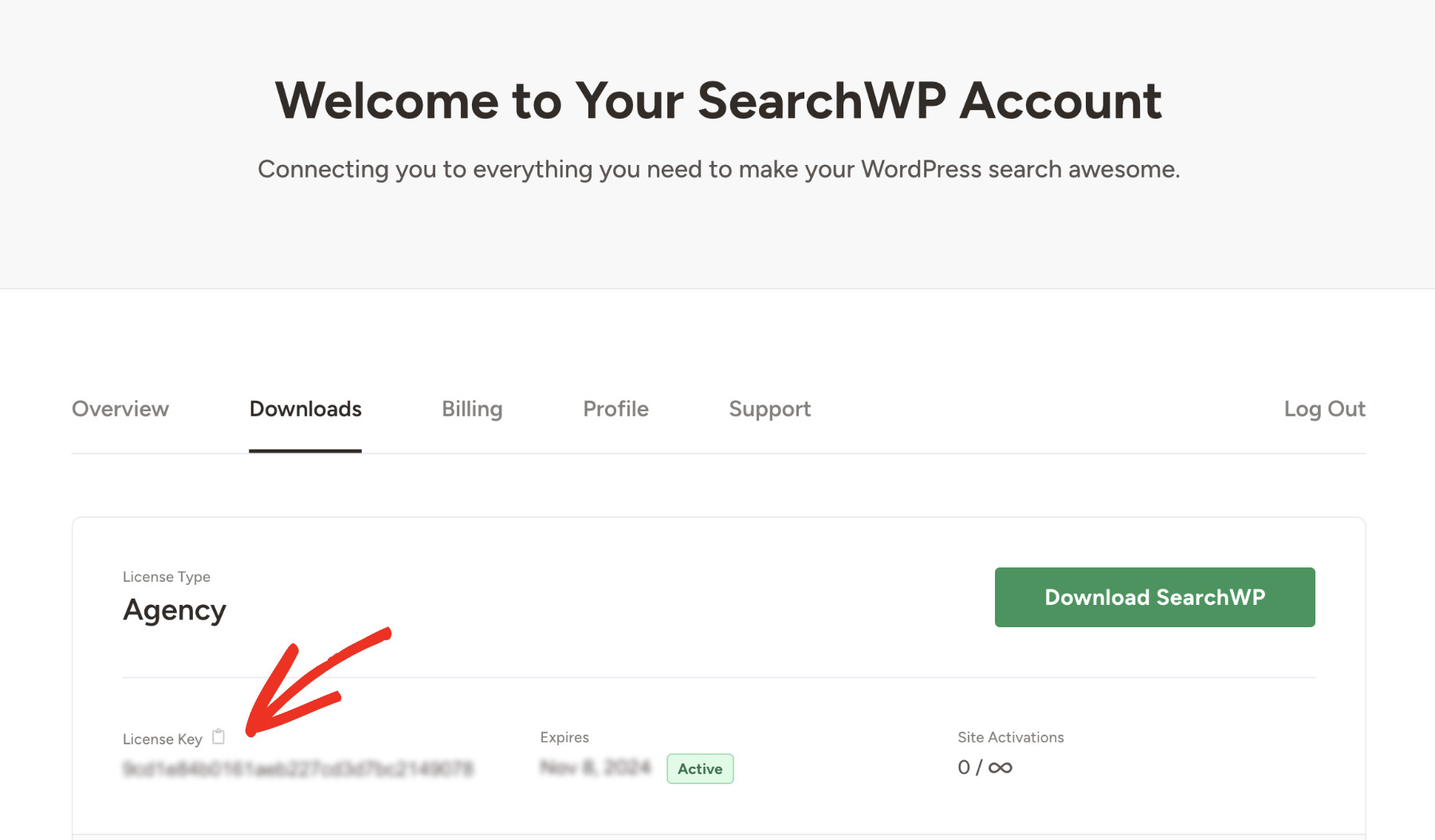 How To Add WooCommerce Product Search To The Header: Installing SearchWP Step 2