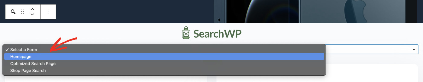 How To Make A Search Bar That Searches Your WordPress Site: Showing Search Bar Step 8